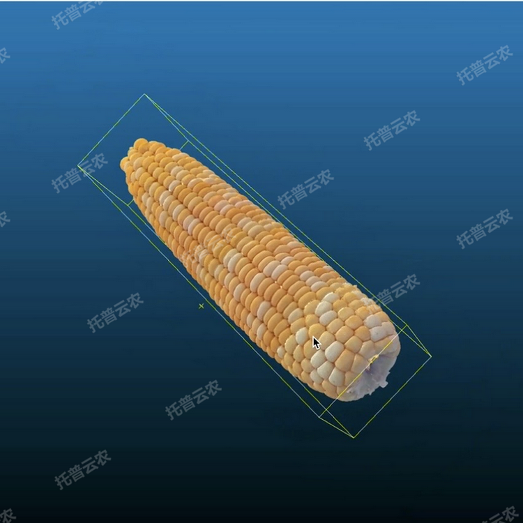 1770773882280073.png 主图6.PNG