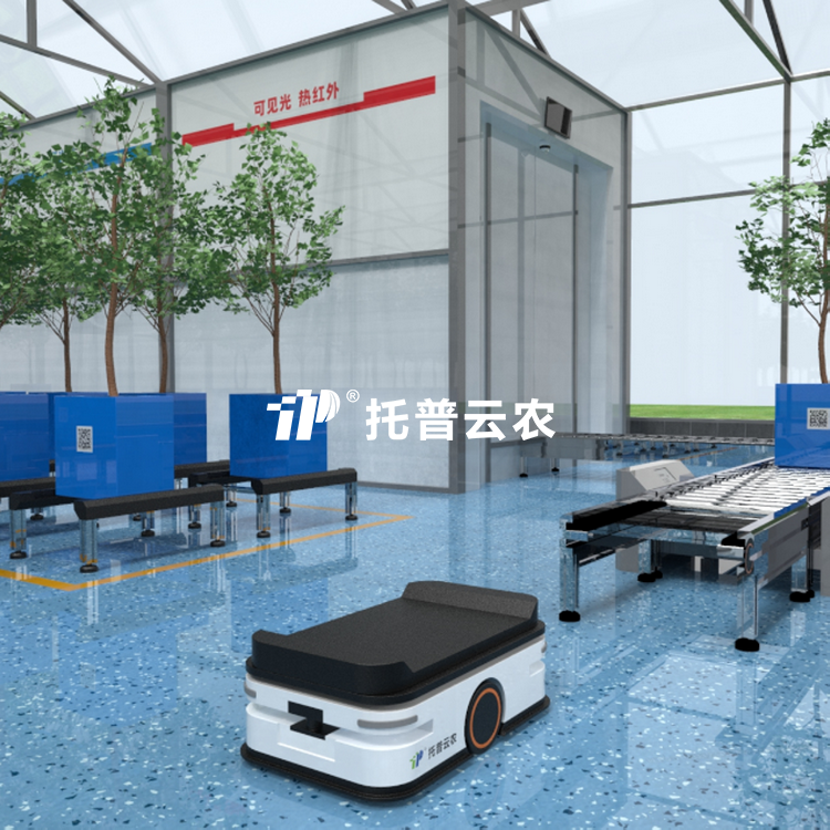 盆栽果树高通量表型采集分析系统 TP-GTL-WGS