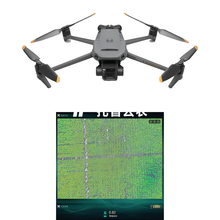 玉米表型生长光谱监测系统 TP-DGP-YM