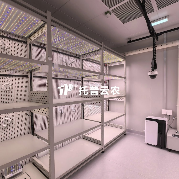 人工气候室植物表型监测系统