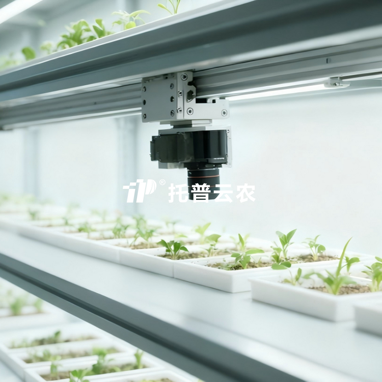 人工气候室植物表型监测系统 TP-PlantPhy