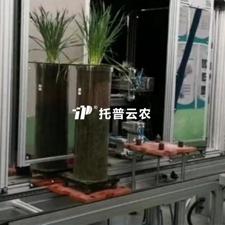高通量植物根系表型采集分析系统（根筒式）TPN-GXY-GT