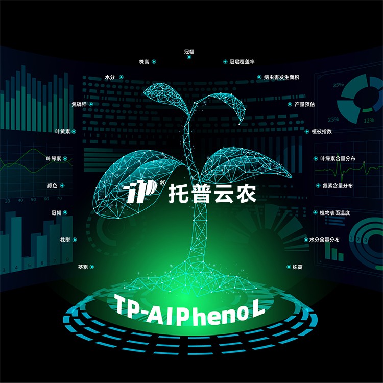 植物表型自动化分析软件TP-AI Pheno L
