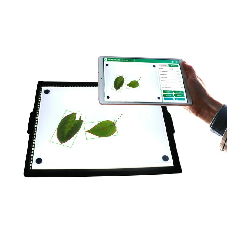 智能叶面积测量仪 YMJ-CHA3