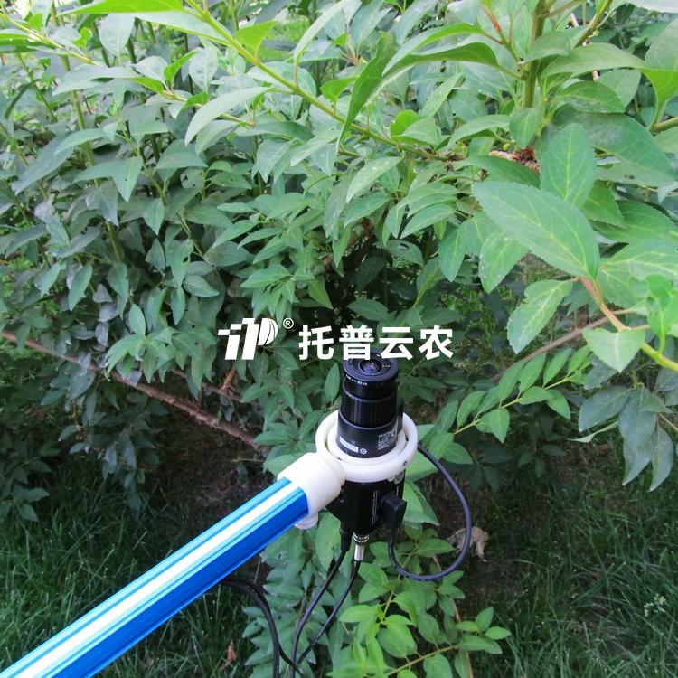植物冠层图像分析仪 TOP-1300