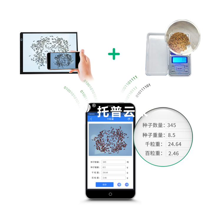 千粒重仪 V2.0