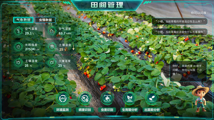 田间管理.png