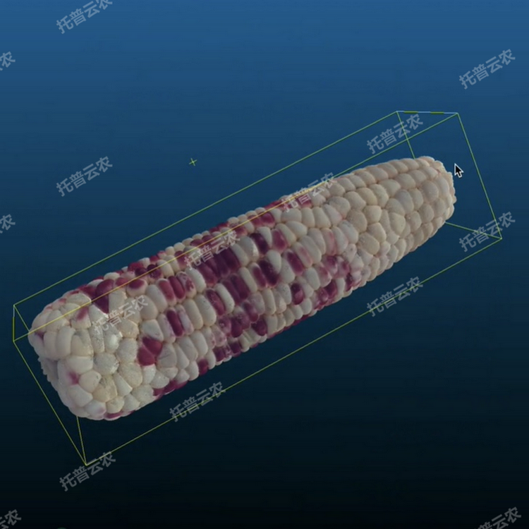 1770773850948038.png 主图4.png